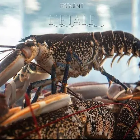 Вилла Le Brise Lame Beau Gite A 2 Pas De La Plage *